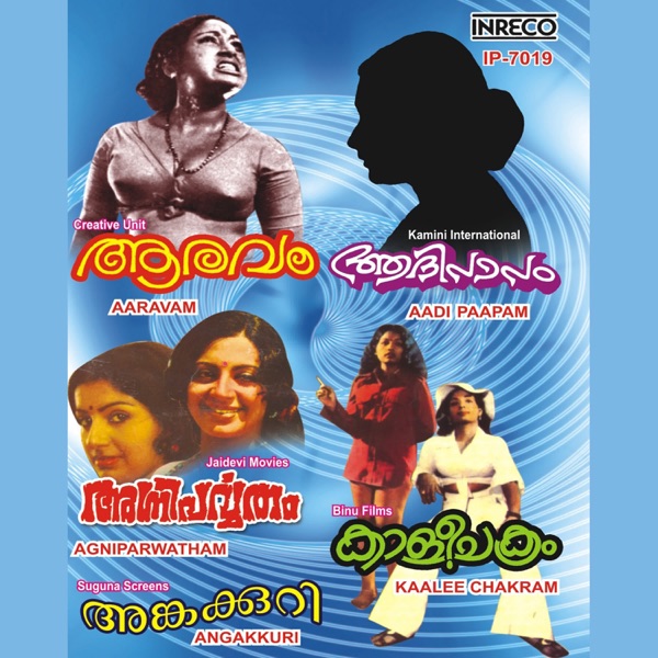 Vinipinchani Raagale Cover