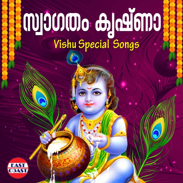 Chandamamaravo Jabilliravo Cover