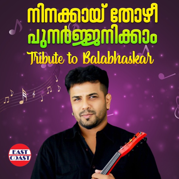 Naamprinjalum Cover