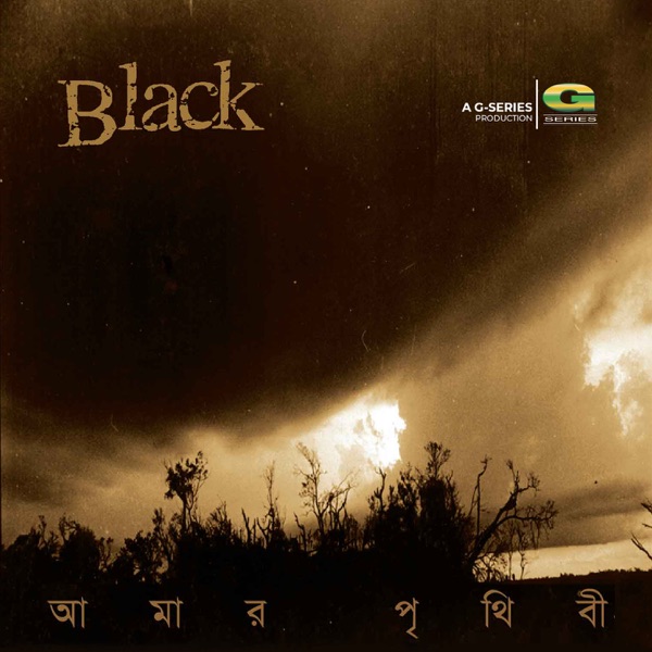 Bivishika Cover