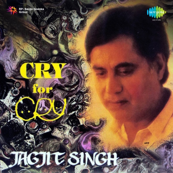 Jagjit Singh & Chitra Singh In Concert Cover