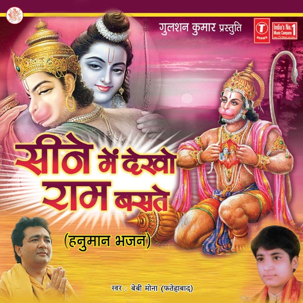 Mera Naam Hai Avinashi Cover