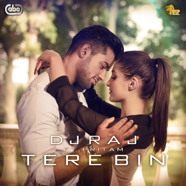 Tere Bin Cover