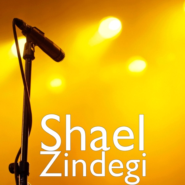 ZIndegi Cover