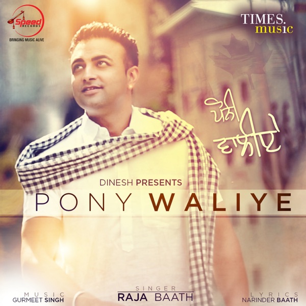 Pony Waliye Cover