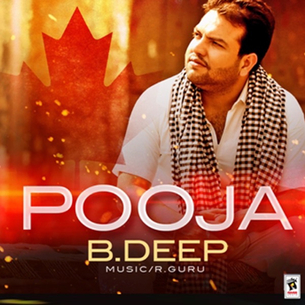 Pooja Cover