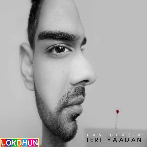 Teri Yaadan Cover