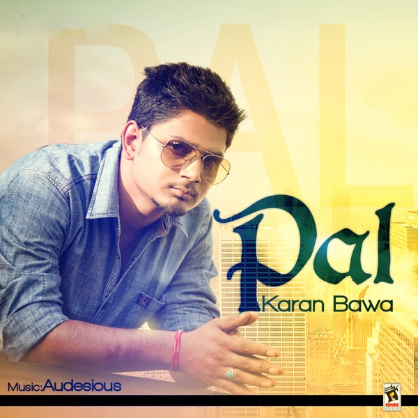 Pal Cover