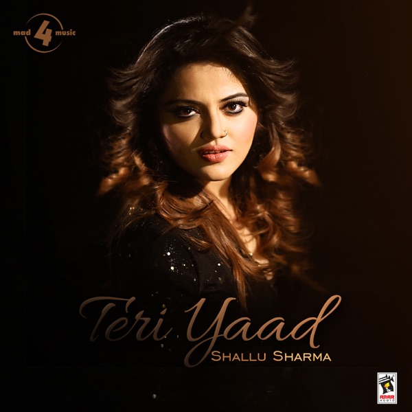 Teri Yaad  Cover