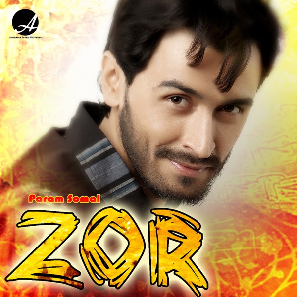 Zor Cover