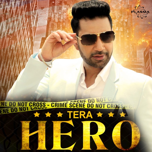 Tera Hero Cover