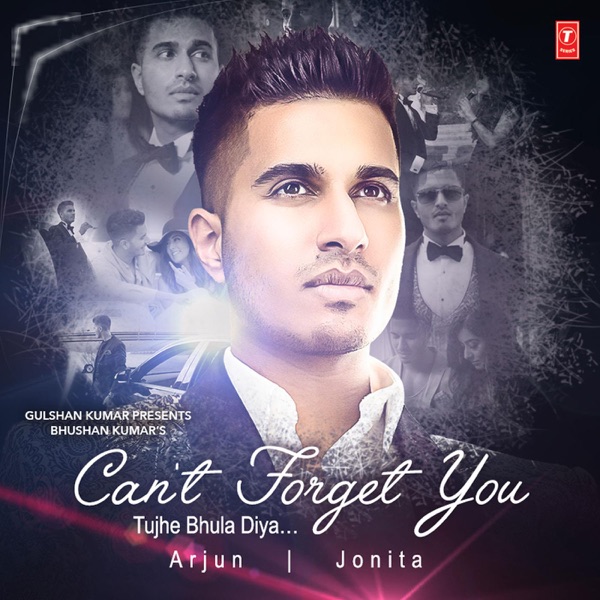 Cant Forget You (Tujhe Bhula Diya) Cover