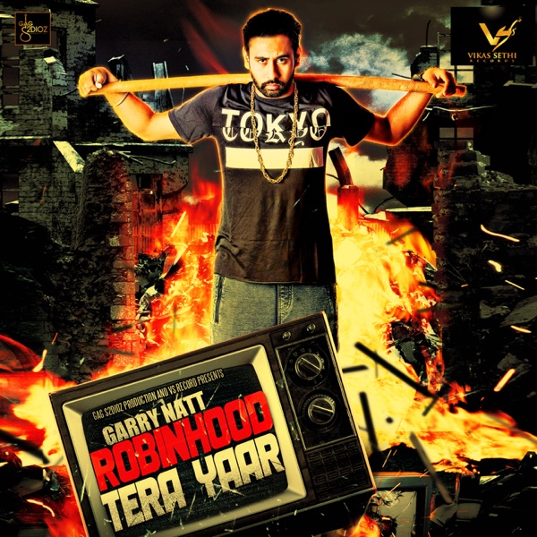 Robinhood Tera Yaar Cover