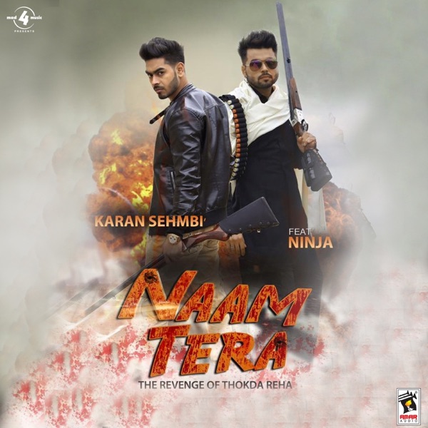 Naam Tera (The Revenge of Thokda Reha) Cover