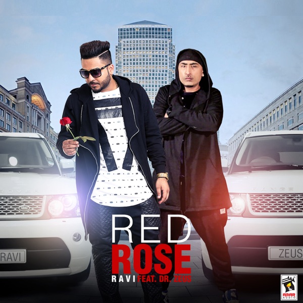 Red Rose Cover