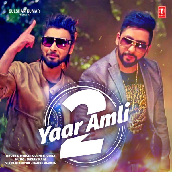 Yaar Amli 2 Cover