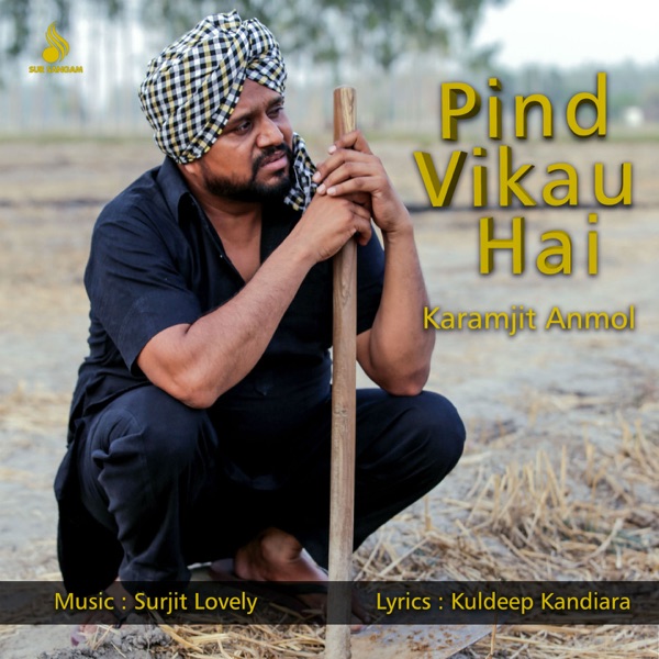 Pind Vikau Hai Cover