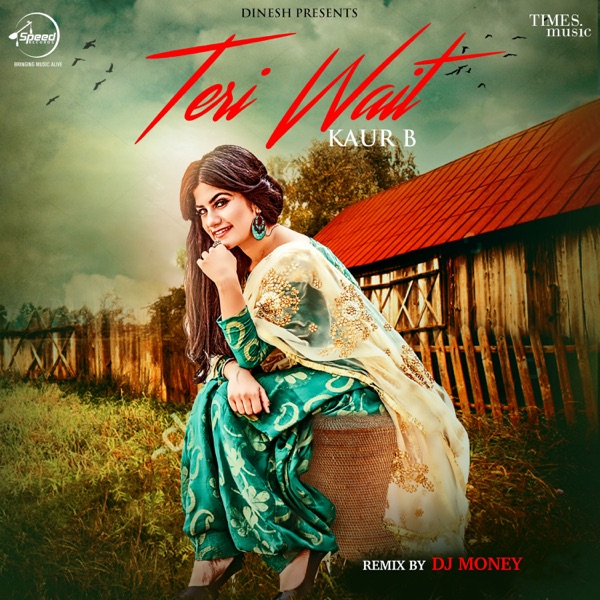 Teri Wait Cover