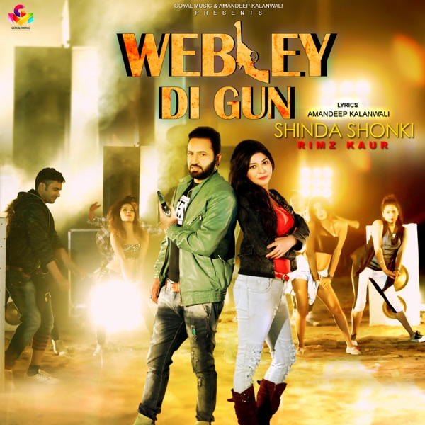 Webley Di Gun Cover