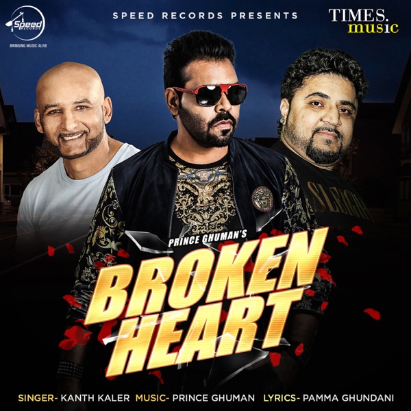 Heartbroken Ft Garry Sandhu  Naseebo Lal Remix Cover