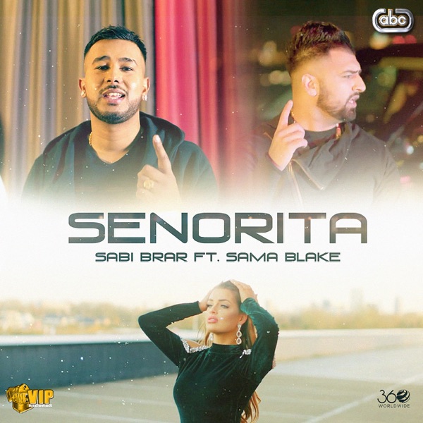 Senorita Cover