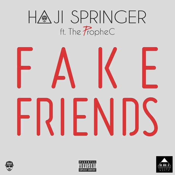 Fake Friends Cover