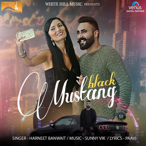 Black Mustang Cover