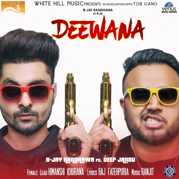 Deewana Cover