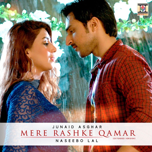 Dil Le Gayee (Redux) Cover