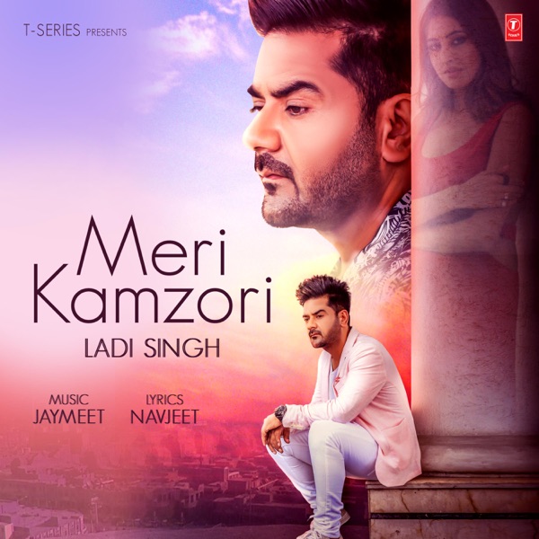 Meri Kamzori Cover