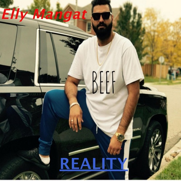 Reality Cover