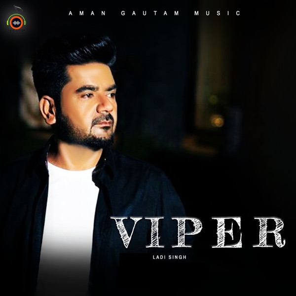 Viper Cover