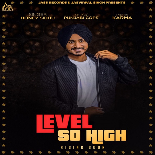 Level So High Cover