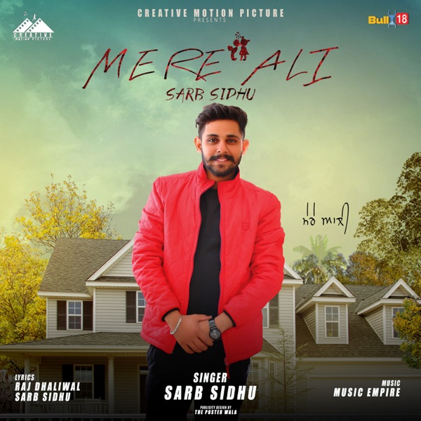 Mere Ali Cover