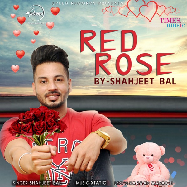 Red Rose Cover