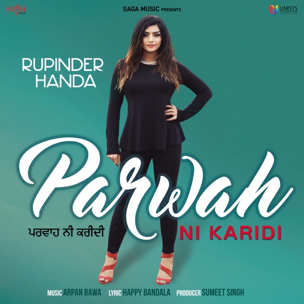 Parwah Ni Karidi Cover