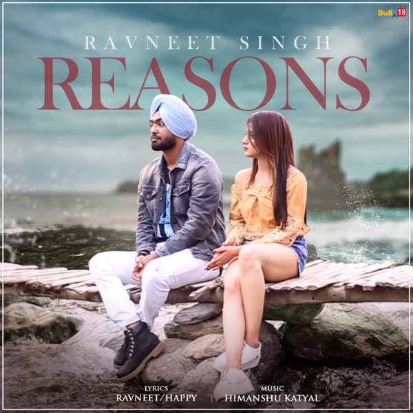 Reasons Cover