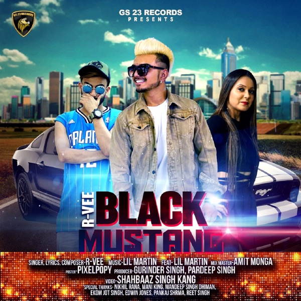 Black Mustang Cover