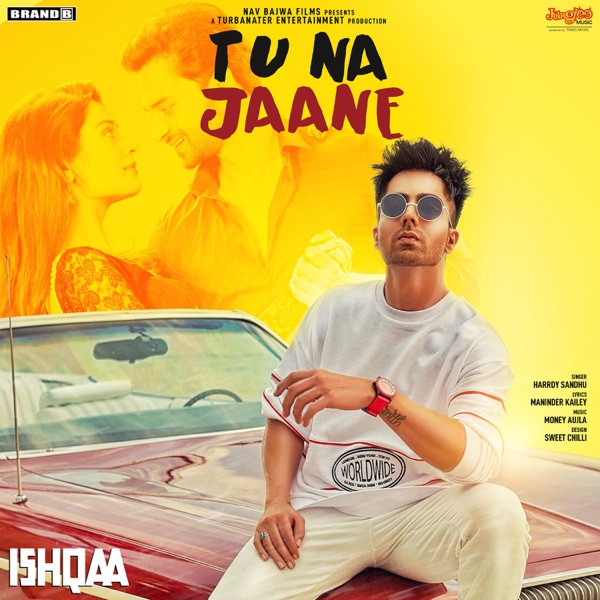 Tu Na Jaane (Ishqaa) Cover