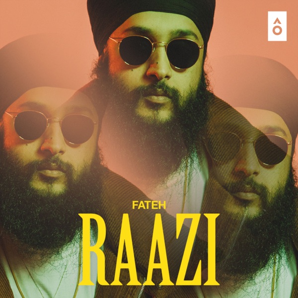 Raazi Cover