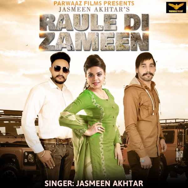 Zameen Cover