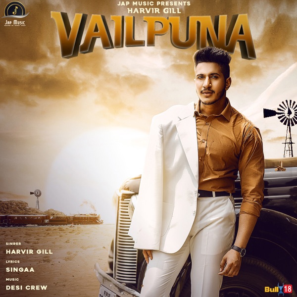 Vailpuna Cover