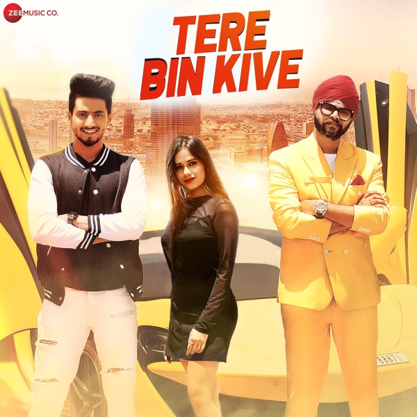 Tere Bin Kive Cover