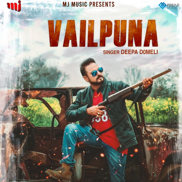 Vailpuna Cover