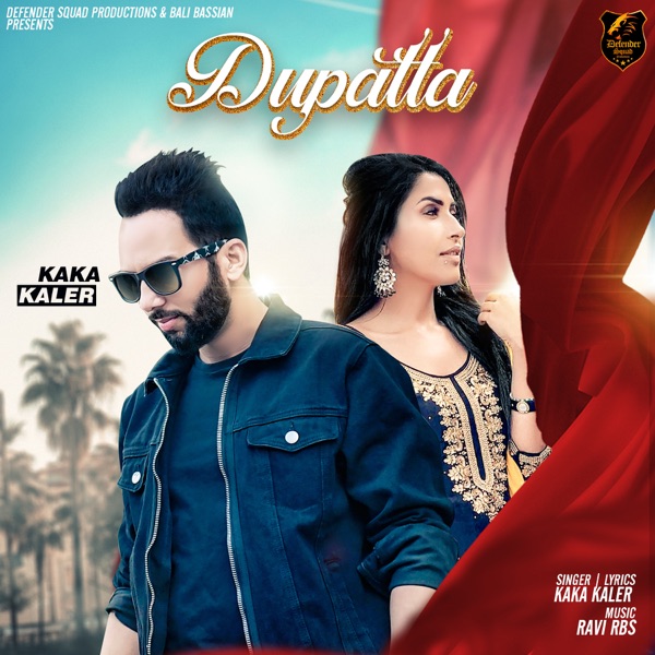 Dupatta Cover