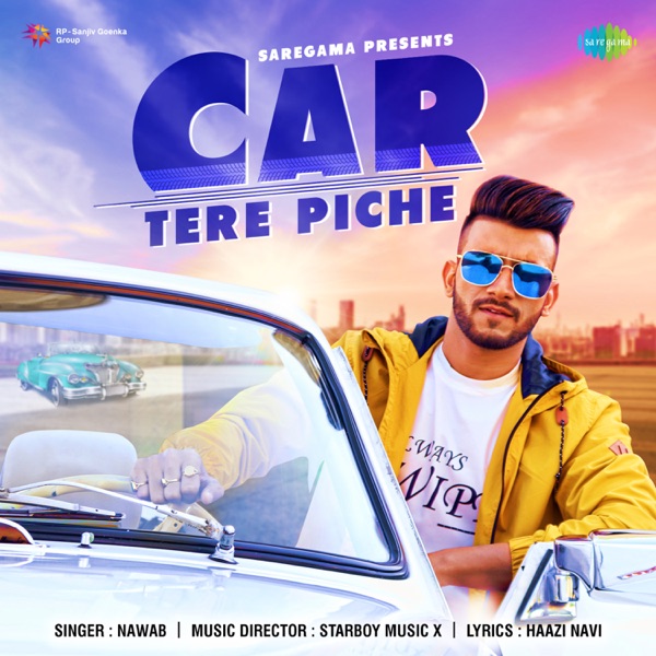 Car Tere Piche Cover