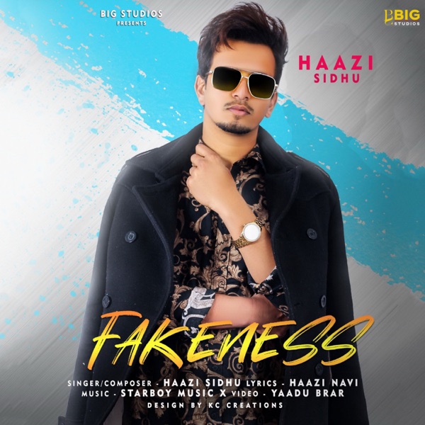 Fakeness Cover