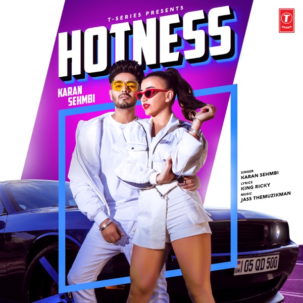 Hotness Cover