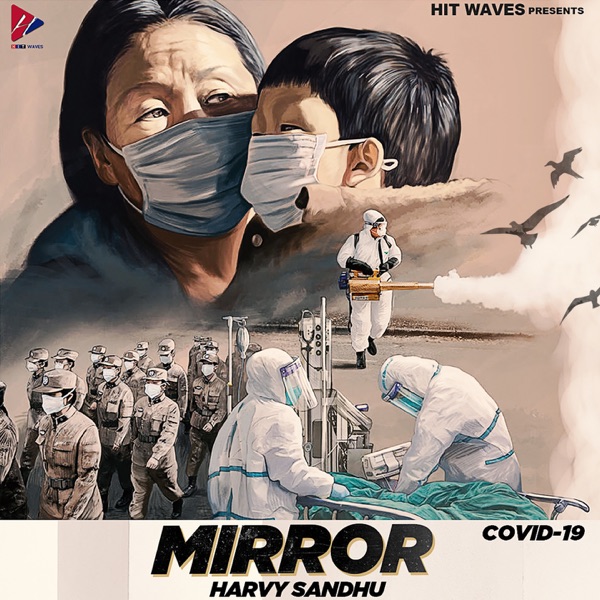 Mirror Cover