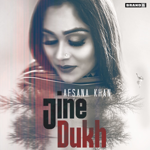 Jine Dukh Cover